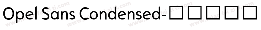 Opel Sans Condensed字体转换